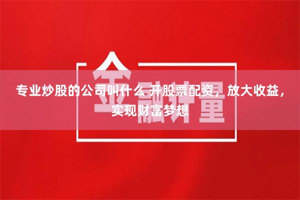 专业炒股的公司叫什么 开股票配资，放大收益，实现财富梦想