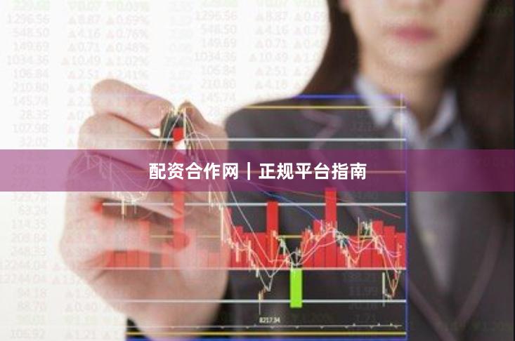 配资合作网｜正规平台指南